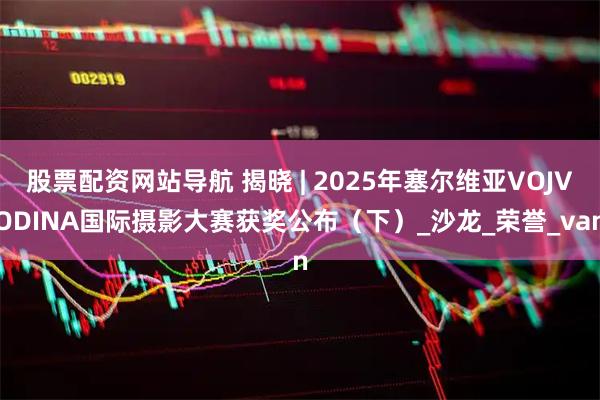 股票配资网站导航 揭晓 | 2025年塞尔维亚VOJVODINA国际摄影大赛获奖公布（下）_沙龙_荣誉_van