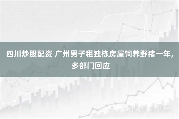 四川炒股配资 广州男子租独栋房屋饲养野猪一年, 多部门回应